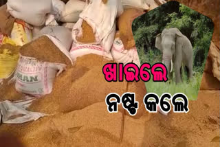 elephant-herd-wrescks-havoc-in-khurda-goda-village