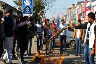 nsui burns effigy