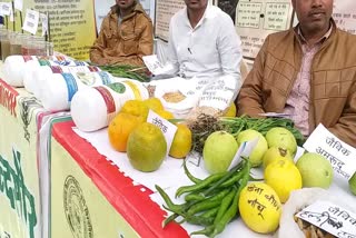 krishi mela