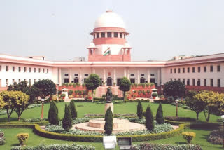 A group of lawyers in the premises of the Supreme Court read the constitution