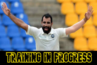 Gearing up for the challenges ahead: Shami