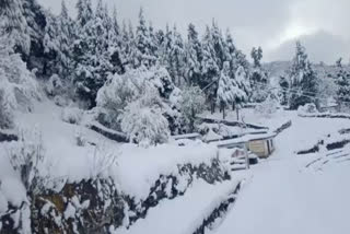 Snowfall in tharali.