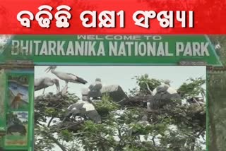 birds-counting-in-bhitarkanika