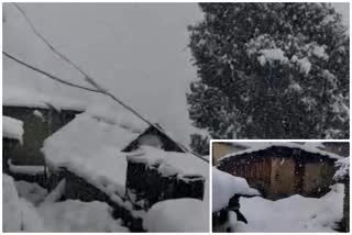 heavy snowfall in chamba