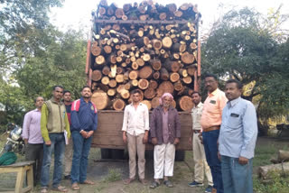 Jalgao Jamod Forest Department seized a truck carrying smuggled trees in Buldana