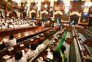 tn assembly live