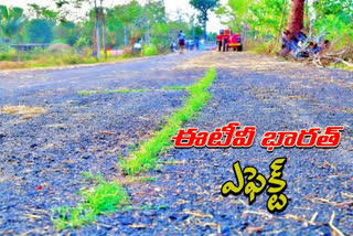 ఈటీవీ భారత్​ ఎఫెక్ట్: మేడారం పనుల్లో నిర్లక్ష్యం కథనానికి స్పందన