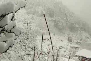 snowfall in shimla