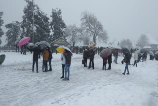 Tourists enjoy snowfall in Shimla