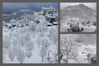 snowfall in mandi