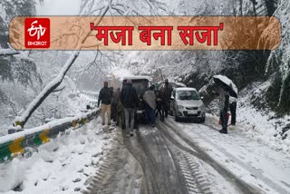 See Shimla entire situation with etv bharat, ईटीवी भारत के साथ देखें शिमला का पूरा नजारा