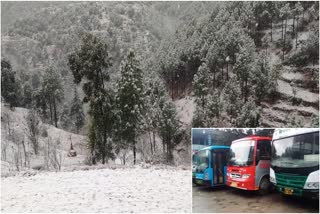 people face problem due to snowfall in mandi