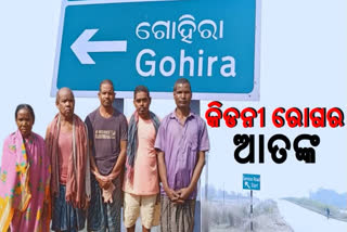 villagers-of-gohira-village-of-keonjhar-suffering-from-kidney-disease