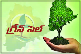 local-bodies-are-responsible-for-protecting-the-plants-in-telangana