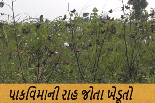 ભાવનગર