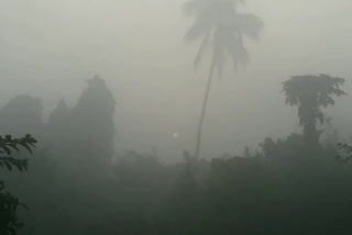 fog in konaseema in east godavari district
