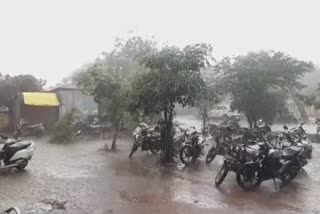 heavy rain yavatmal