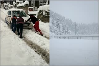 tourists stranded in Manali due to snowfall