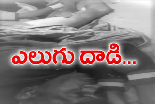 bear attack on a farmer in karimnagar