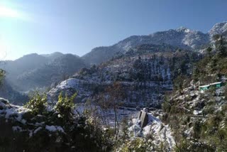 snowfall in solan snowfall images, snowfall images solan, snowfall in solan,