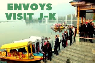 Envoys from 16 nations in Kashmir to assess ground situation