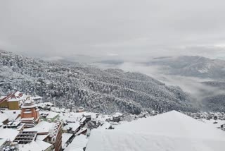 shimla after snowfall in photos