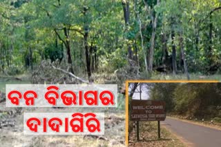 deforestation in angul satakosia, angul latest news, satakosia latest news, ସାତକୋଶିଆ ଲାଟେଷ୍ଟ ନ୍ୟୁଜ୍‌, ଅନୁଗୋଳ ଲାଟେଷ୍ଟ ନ୍ୟୁଜ୍‌, ଅନୁଗୋଳର ସାତକୋଶିଆରେ ଗଛ କଟା