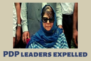 PDP  Expelled  Party ideology  Party leaders  Jammu and Kashmir  പീപ്പിൾസ് ഡെമോക്രാറ്റിക് പാർട്ടി  PDP expels 8 leaders who met L-G, foreign envoys in J&K  പീപ്പിൾസ് ഡെമോക്രാറ്റിക് പാർട്ടി എട്ട് പാർട്ടി നേതാക്കളെ പുറത്താക്കി