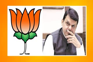 BJP defeated in Nagpur Zilla Parishad elections