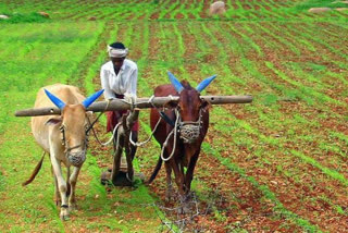 The state government says good news to the farmers