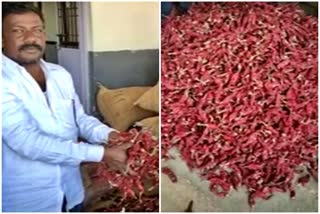 high-rate-dry-peppers-sale-in-haveri