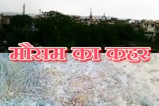 weather update news in rajasthan and sikar