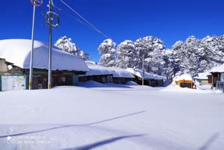 More than 4 feet of snowfall in Malana village