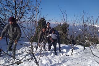 Beautiful pictures of snowfall in Mandi