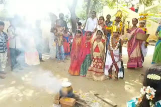 Early celebrating the sankranti