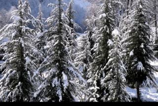 People's problems increased after snowfall in Manali