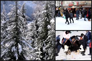 snowfall in manali