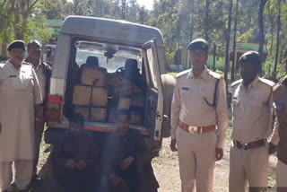 Teak wood smuggler arrested with vehicle in chhindwara