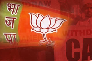 bjp