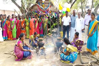 tn-colleges-celebrated-samathuva-pongal