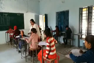 Navodaya Vidyalaya exam, धौलपुर न्यूज