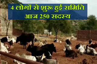 Karmeti Bai gau Seva Samiti, Khandela Sikar news