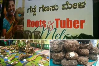 Roots ,tuber  Exhibition