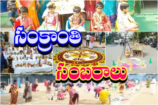 sankranthi celebrations