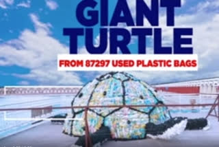 Plastic turtle