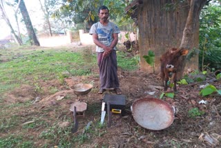 Illegal cattle cross in Kadaba