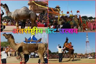बीकानेर में अंतर्राष्ट्रीय ऊंट उत्सव, International Camel Festival in Bikaner, बीकानेर की खबर,  bikaner news