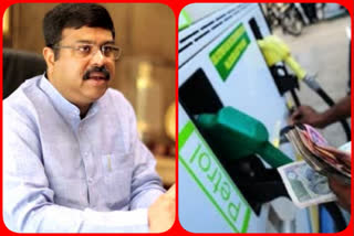 No need to panic about oil prices: Pradhan