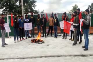 abvp protest in hpu against jnu violence