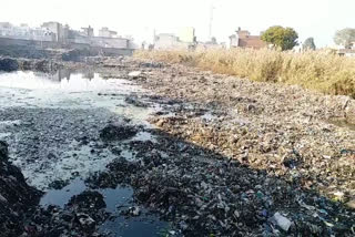 Swimming pool and park will be replaced instead of dumping ground in ladwa